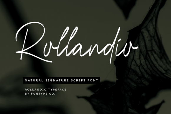 Rollandio: Crafting Intimate Elegance in Modern Typography